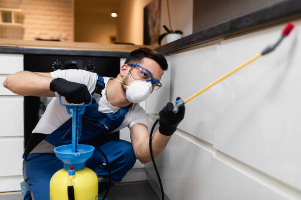 Wasp Removal Services in Lafayette, IN