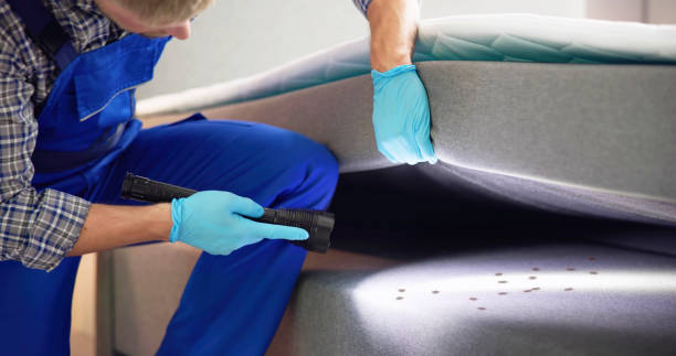 Best Mosquito Control Services  in Lafayette, IN
